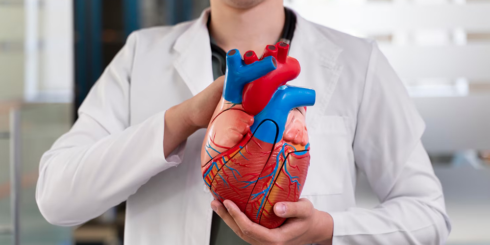 Cardiology